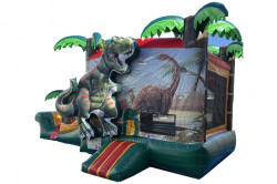 3D T-Rex Dinosaur Water Combo 224C-W/D