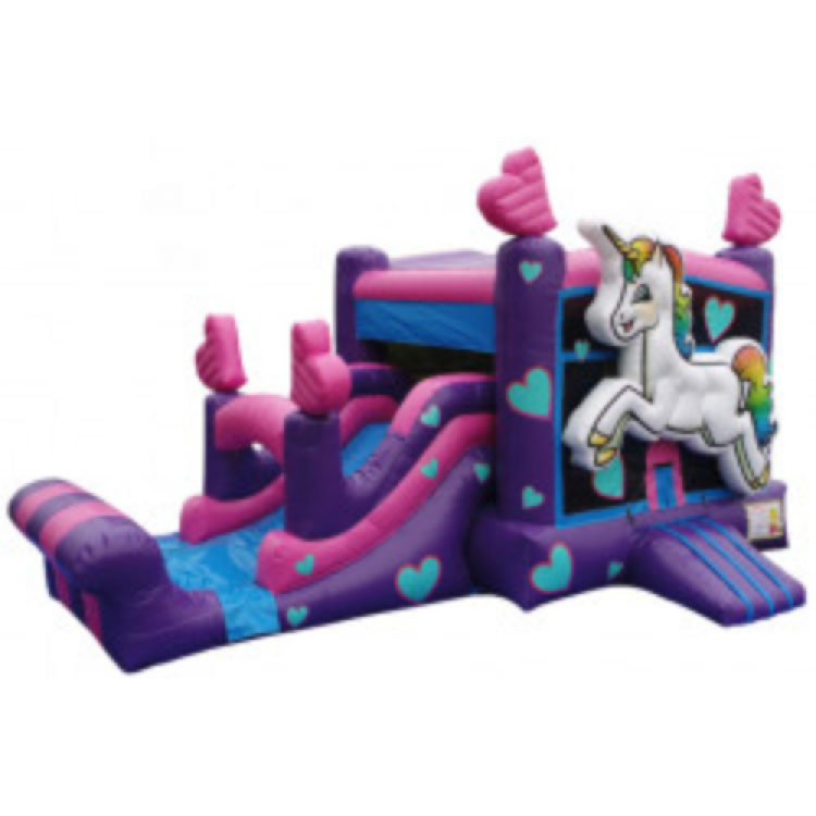 Bounce House & Combo Rentals